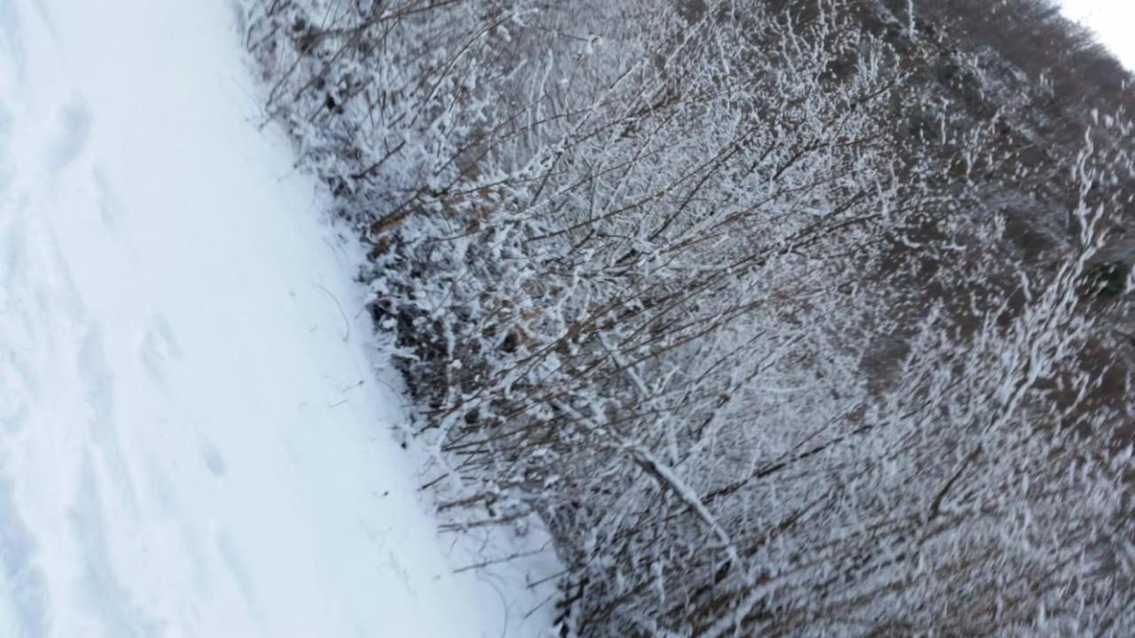 ホテルBujtina E Tomorrit Ujanik エクステリア 写真