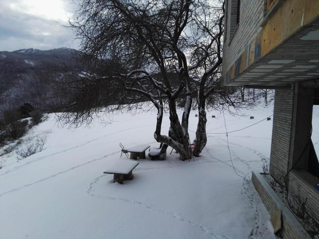 ホテルBujtina E Tomorrit Ujanik エクステリア 写真